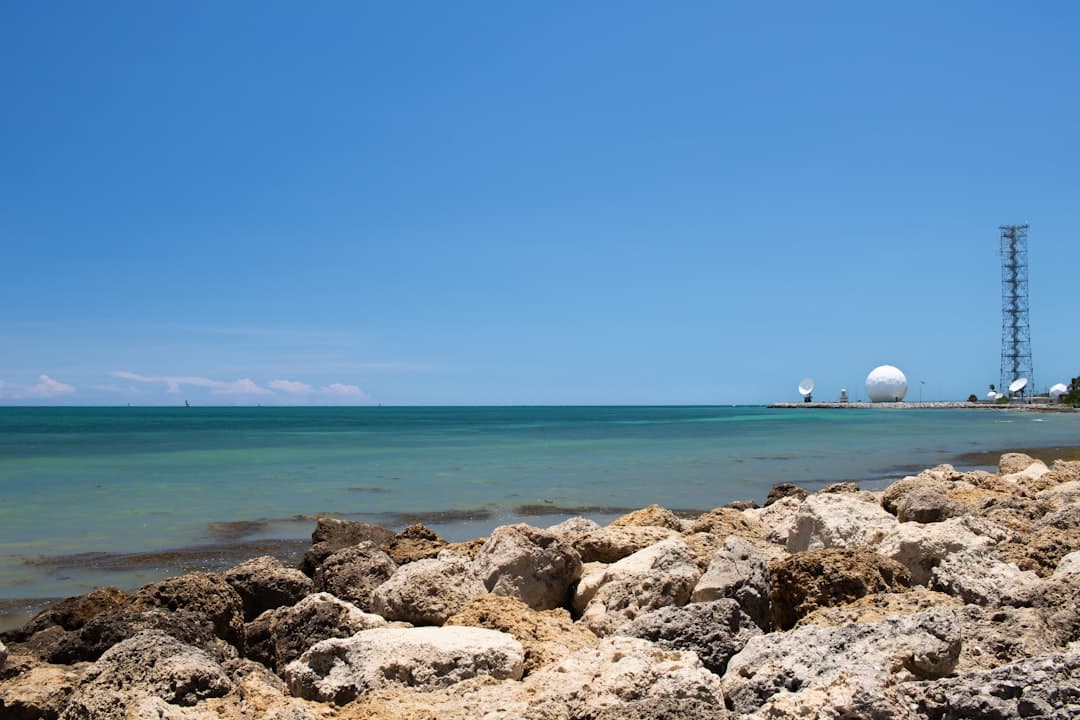 Gulf States and Neighbors Accelerate Clean Energy Research Amid Shifting Global Technology Landscape
